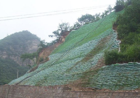 成都生態(tài)袋護(hù)坡治理