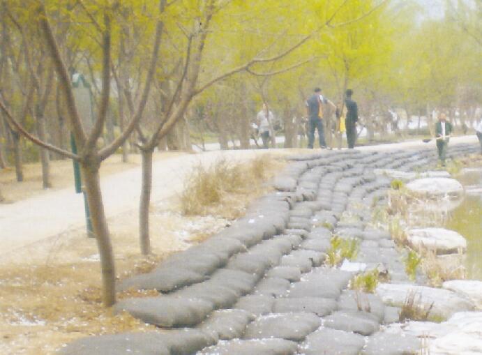 生態袋河道治理